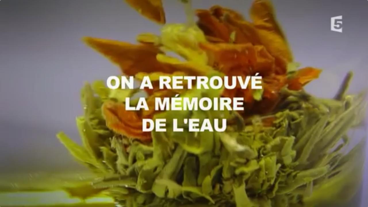 L'empire des sciences